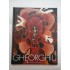 Ion Alin GHEORGHIU - Album pictura (romana,engleza)